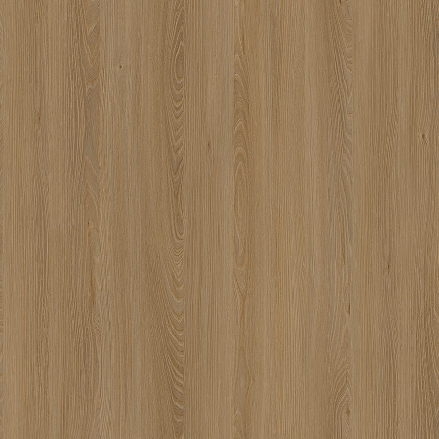 E11032 Kaukázus Elm