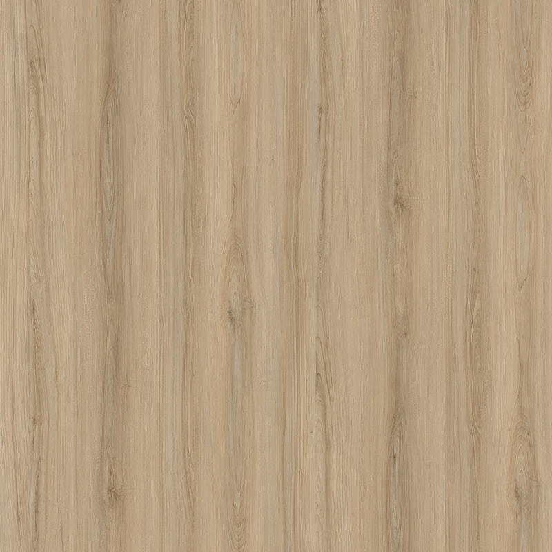 E11031 juhar